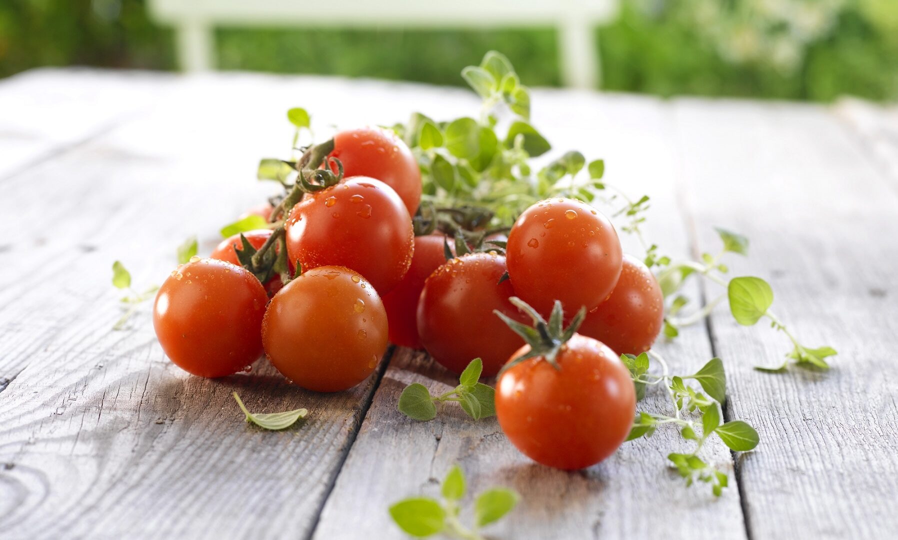 tomater baerekraft